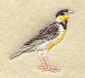 Bird - Meadowlark
