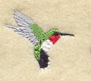 Bird - Hummingbird
