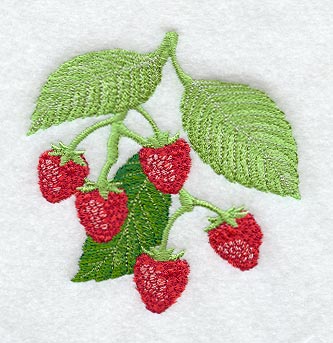 Raspberries