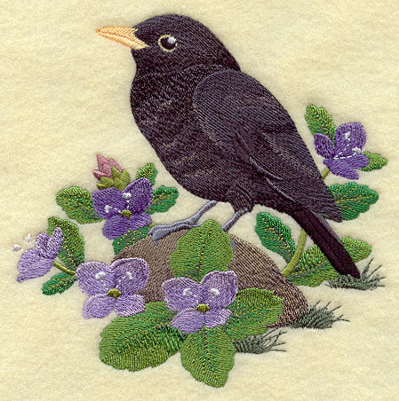 British Blackbird and Brooklime