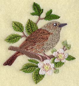 Dunnock on Blackberry Branch