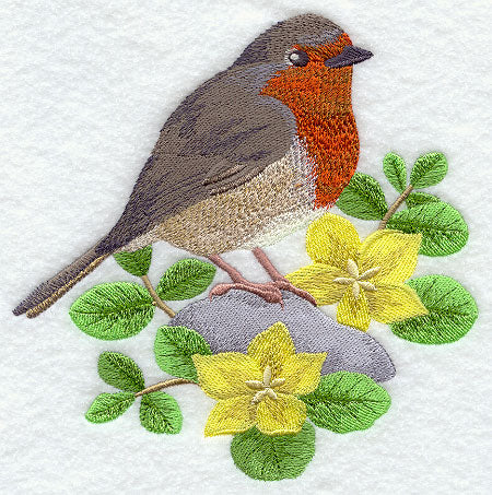 British Robin and Creeping Jenny