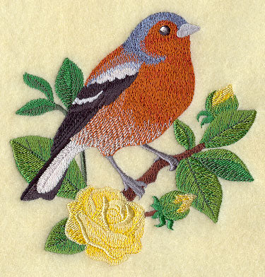 Chaffinch and English Tea Rose
