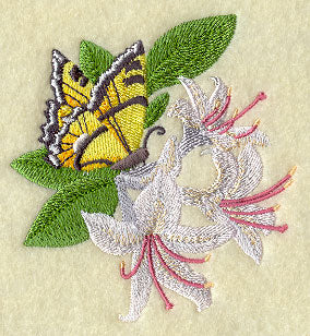 Honeysuckle and Butterfly