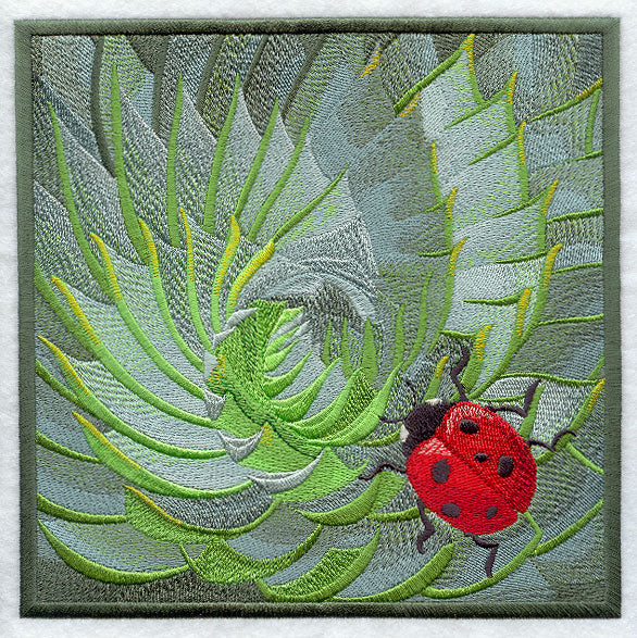 Ladybug on Succulent