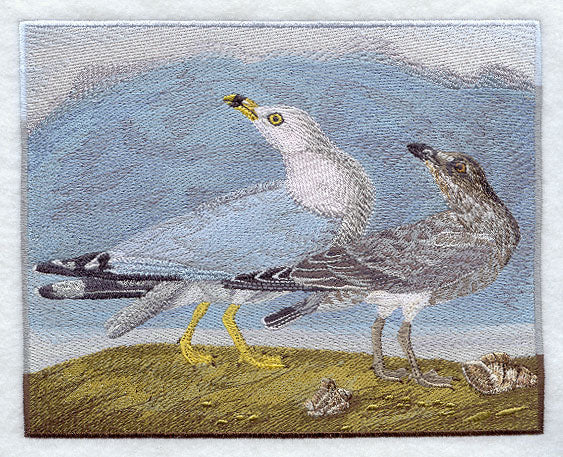 Ring-billed Seagulls