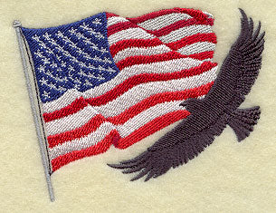 US Flag and Eagle
