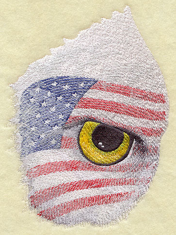 Eye of the American Eagle