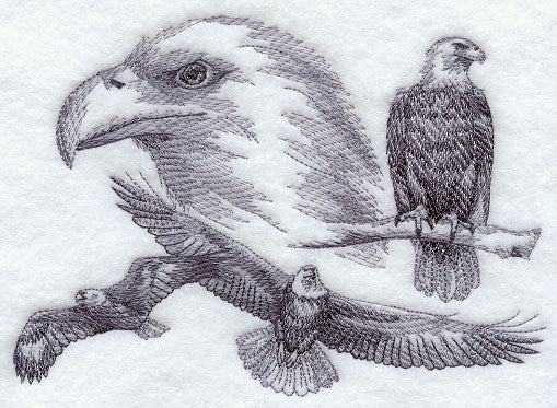 Eagle Sketch
