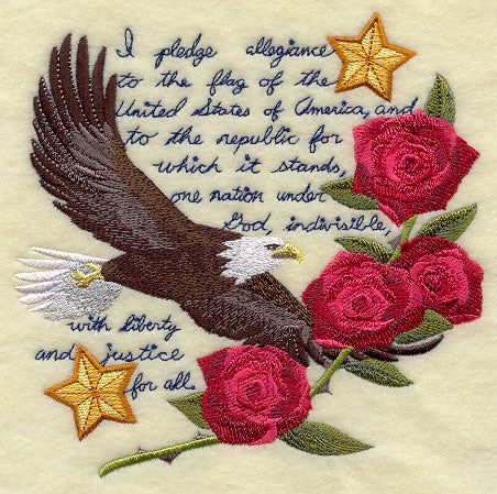 Pledge of Allegiance Eagle Medley