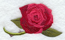 Pledge of Allegiance Eagle Medley - Rose