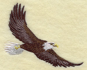 Pledge of Allegiance Eagle Medley - Eagle