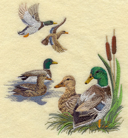 Mallard Collage