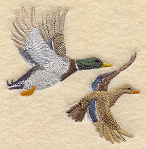 Mallard Pair in Flight