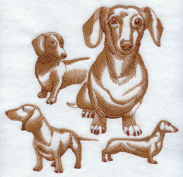 Dachshund Sketch