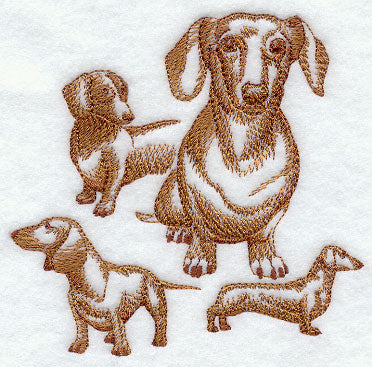 Dachshund Sketch