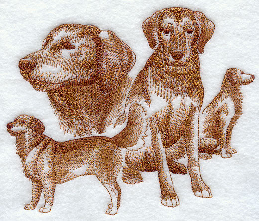 Golden Retriever Sketch