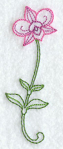 Cooktown Orchid (Vintage)