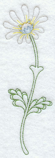 Pimelea Daisy Bush (Vintage)