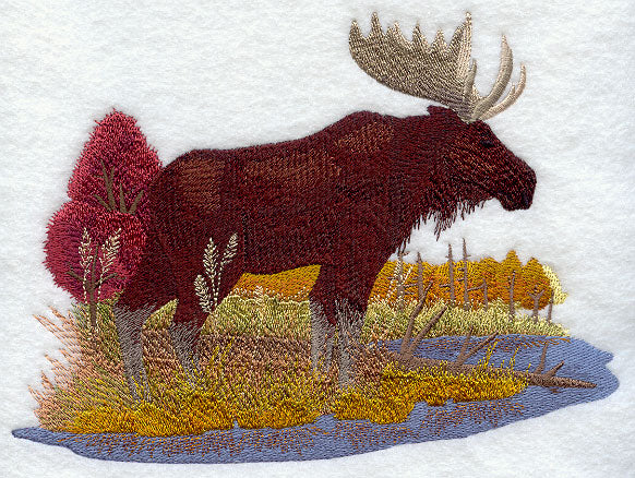 Moose in Autumn