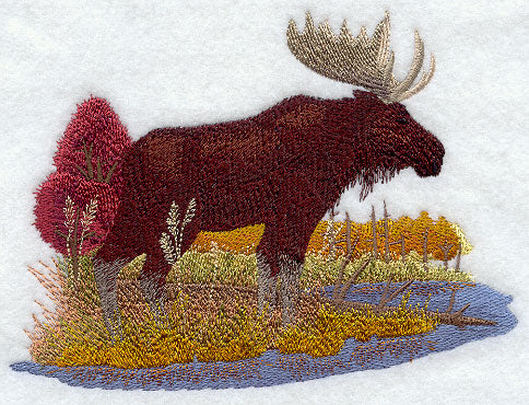 Moose in Autumn