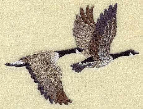 Canada Goose Pair in Flight