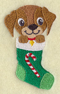 Puppy in Stocking