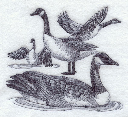 Canada Goose Sketch