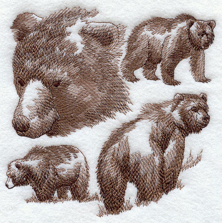 Bear Sketch