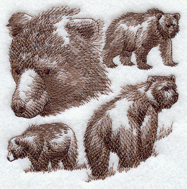 Bear Sketch