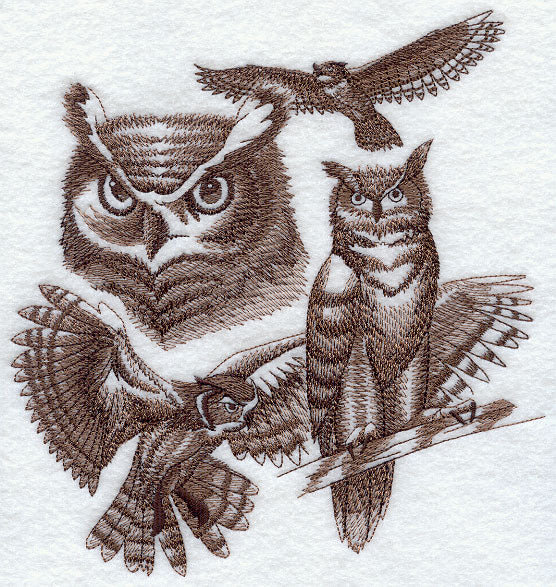 Great Horned Owl Sketch
