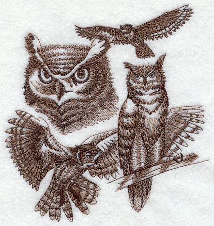 Great Horned Owl Sketch