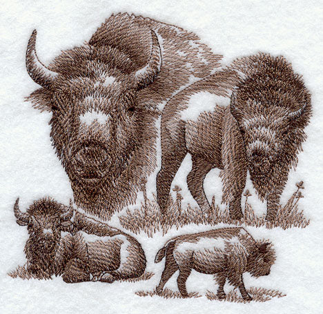 Buffalo Sketch