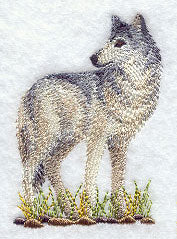 Gray Wolf 1