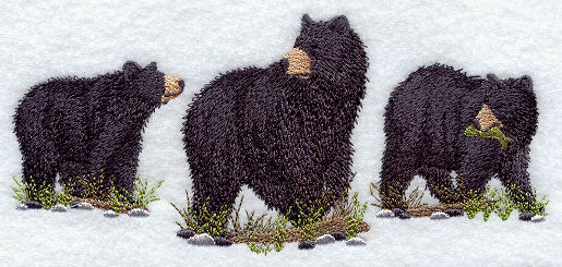 American Black Bear Trio