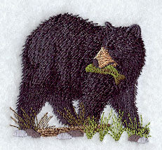 American Black Bear 3
