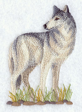 Gray Wolf 1