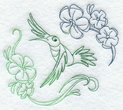 Hummingbird Fancy