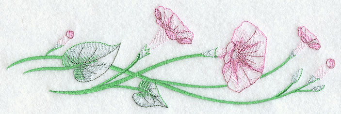 Good Morning Glories Border