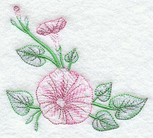 Good Morning Glories Corner