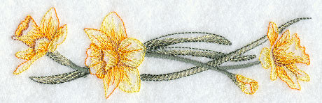 Dashing Daffodils Border