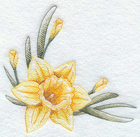 Dashing Daffodils Corner