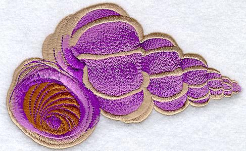Scalare Seashell