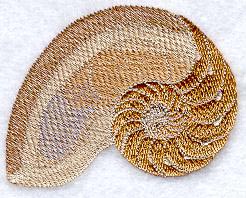 Pompilius Seashell