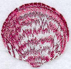 Bittersweet Seashell