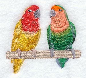 Peach Faced Lovebirds