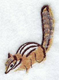 Chipmunk