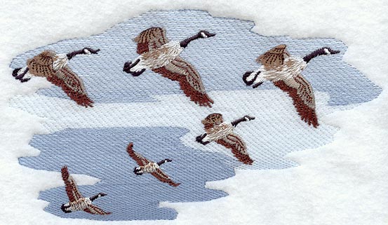Flying Canada Geese