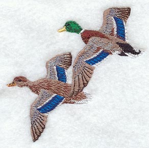 Flying Mallard Pair