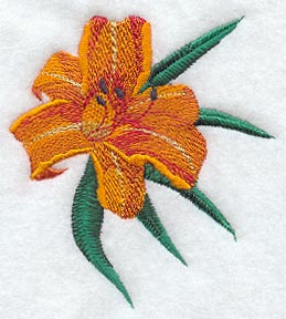 Daylily